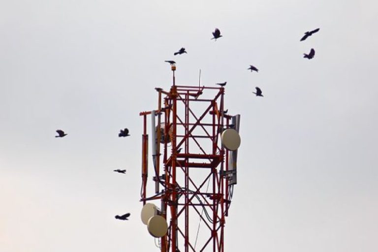 Spectrum Auction 2021: DoT Assigns Frequencies To Reliance Jio And Bharti Airtel, Gets Rs 2306.97 Crore In Advance