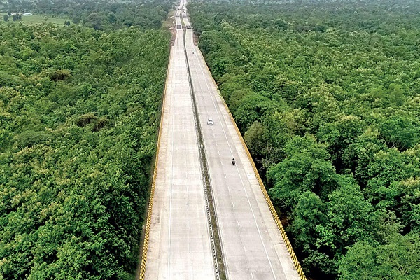 Why This Elevated Stretch On National Highway 44 Is A Hit With Animals In Pench Tiger Reserve