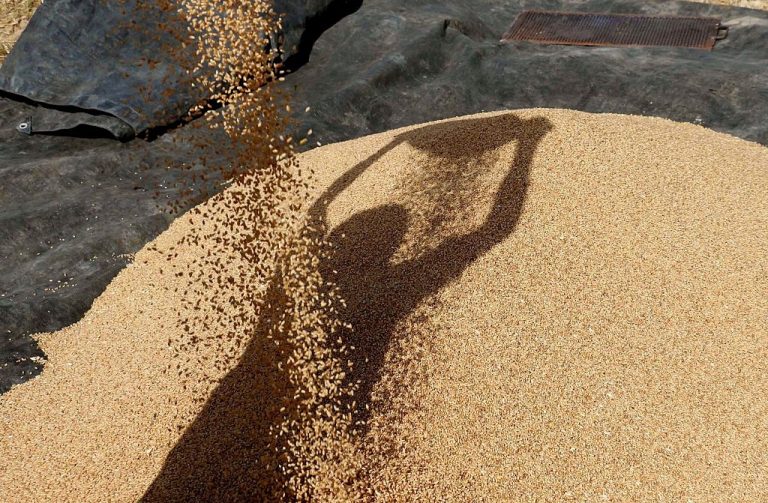 India Prepares Roadmap To Triple Wheat Exports To 21 Million Tons, Railways Gears Up Support Infrastructure