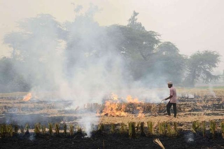 Nitin Gadkari Outlines Steps To Curb Stubble Burning, Aims To Create A Strong Market For Bio-Fuel Production
