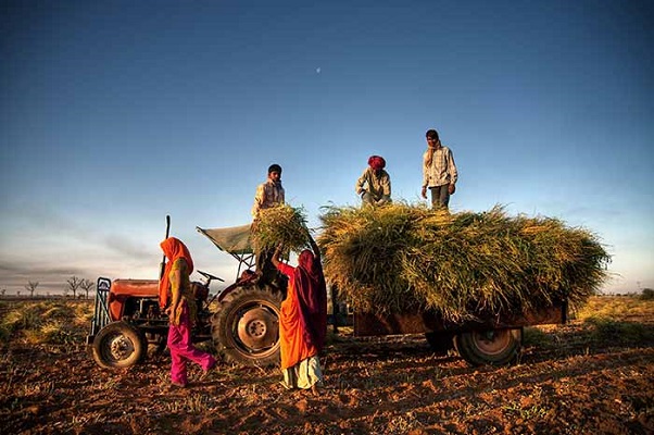 Government Seeks Bankers’ Views On Economy, Latter Emphasise Need For Greater Infra Spend On Rural India