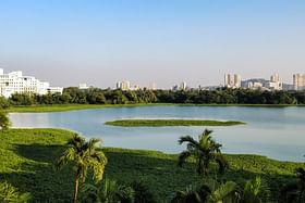 Mumbai: BMC Prepares Plans To Take Up Cleaning Of Ponds In the City