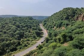 Haryana Launches ‘Green Wall’ Project: What This 5-Km-Wide Green Belt Means For The Aravallis And Surrounding Gurugram, Delhi Regions